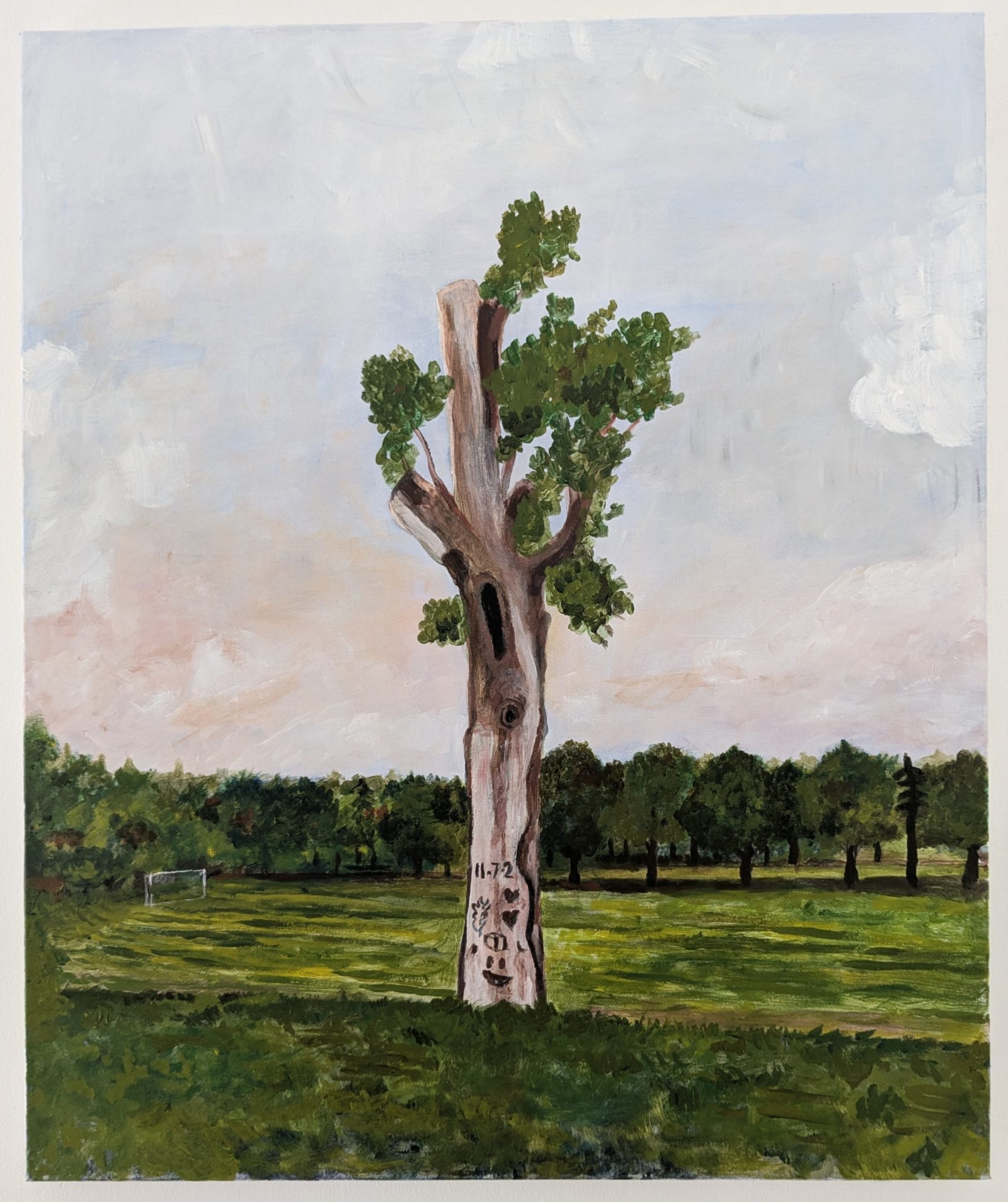 The Old Tree, Verulamium Park, St Albans