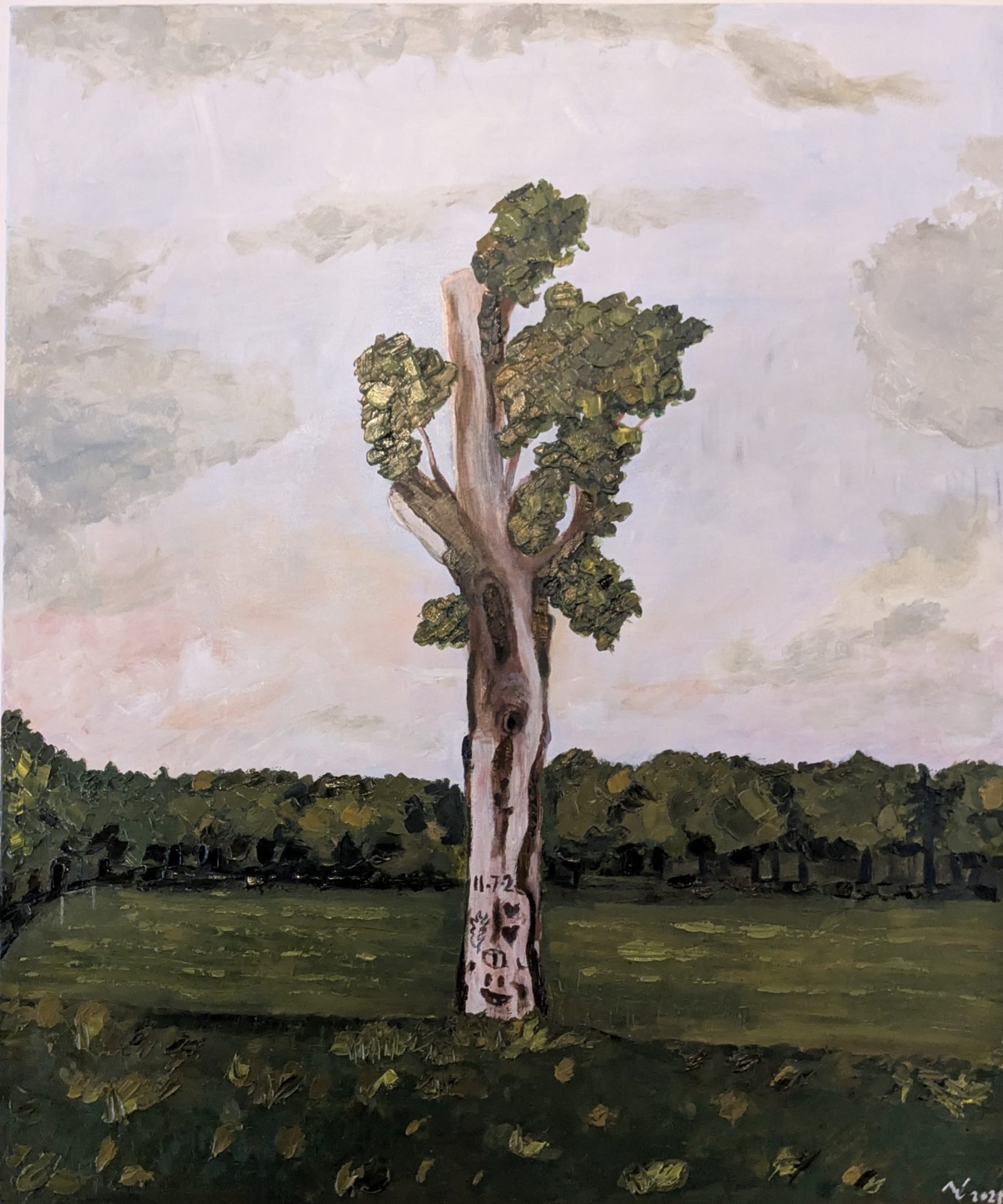 The Old Tree, Verulamium Park, St Albans