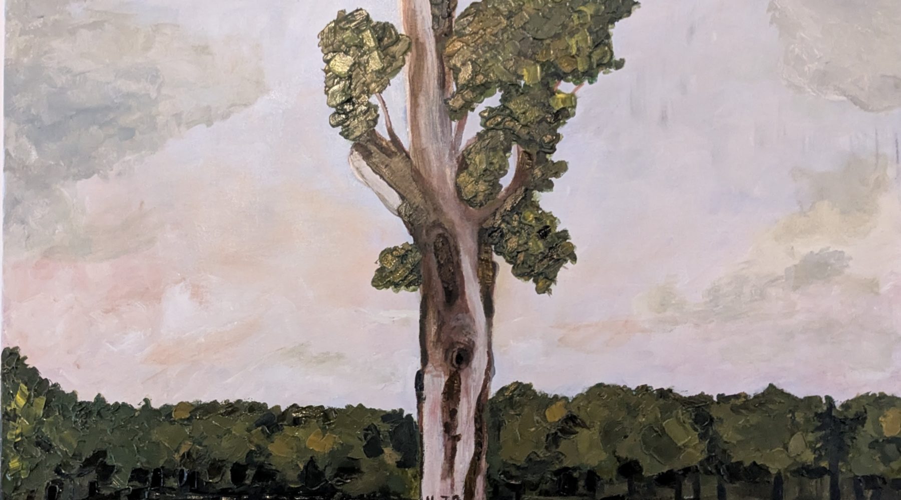 The Old Tree, Verulamium Park, St Albans
