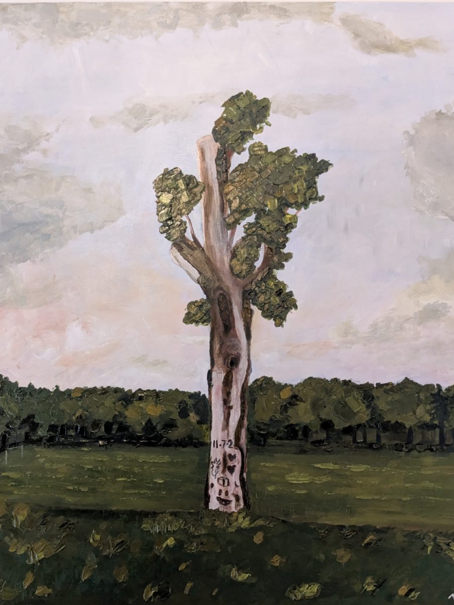 The Old Tree, Verulamium Park, St Albans