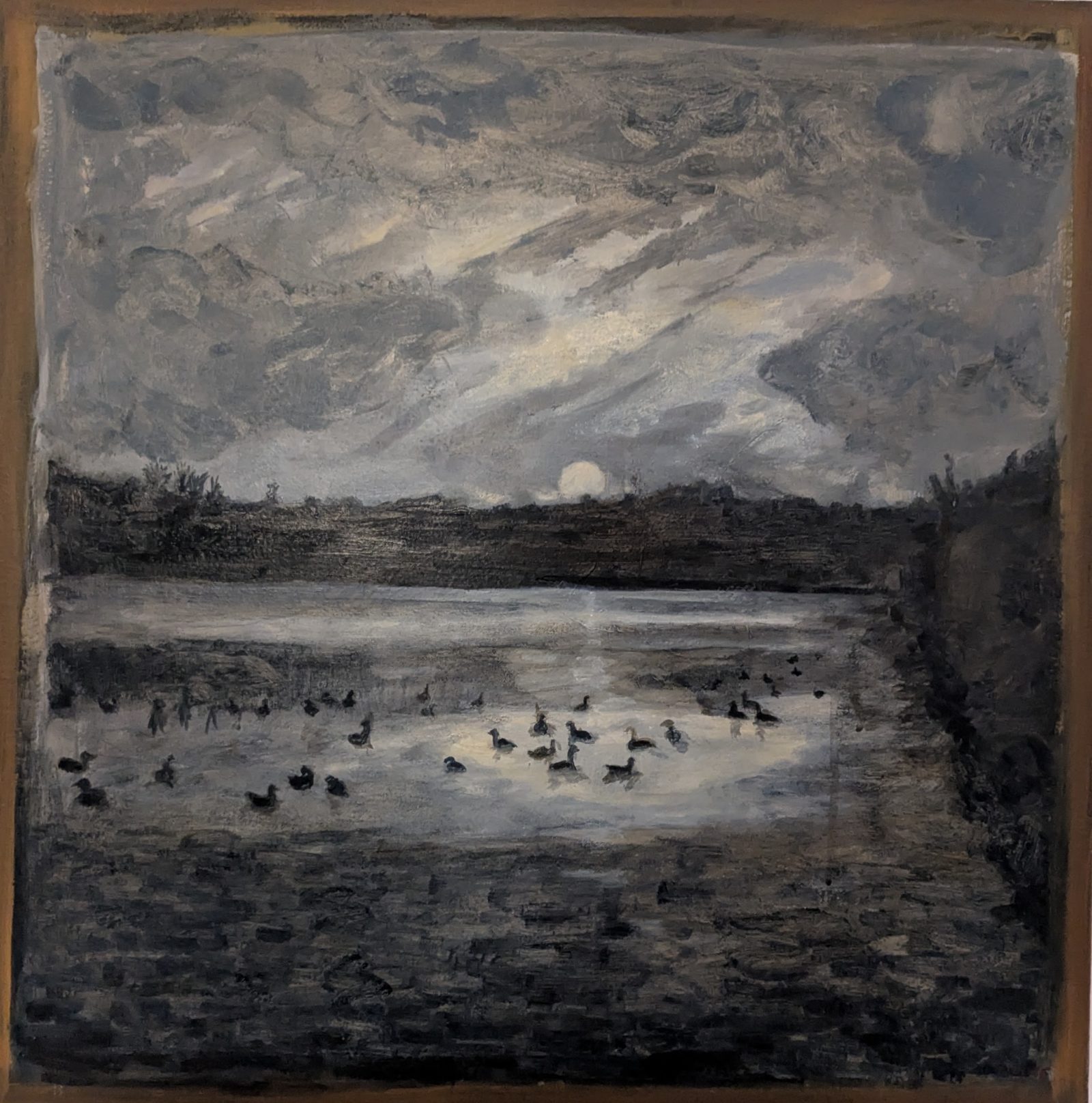 Ducks resting on the lake at night (St Albans)