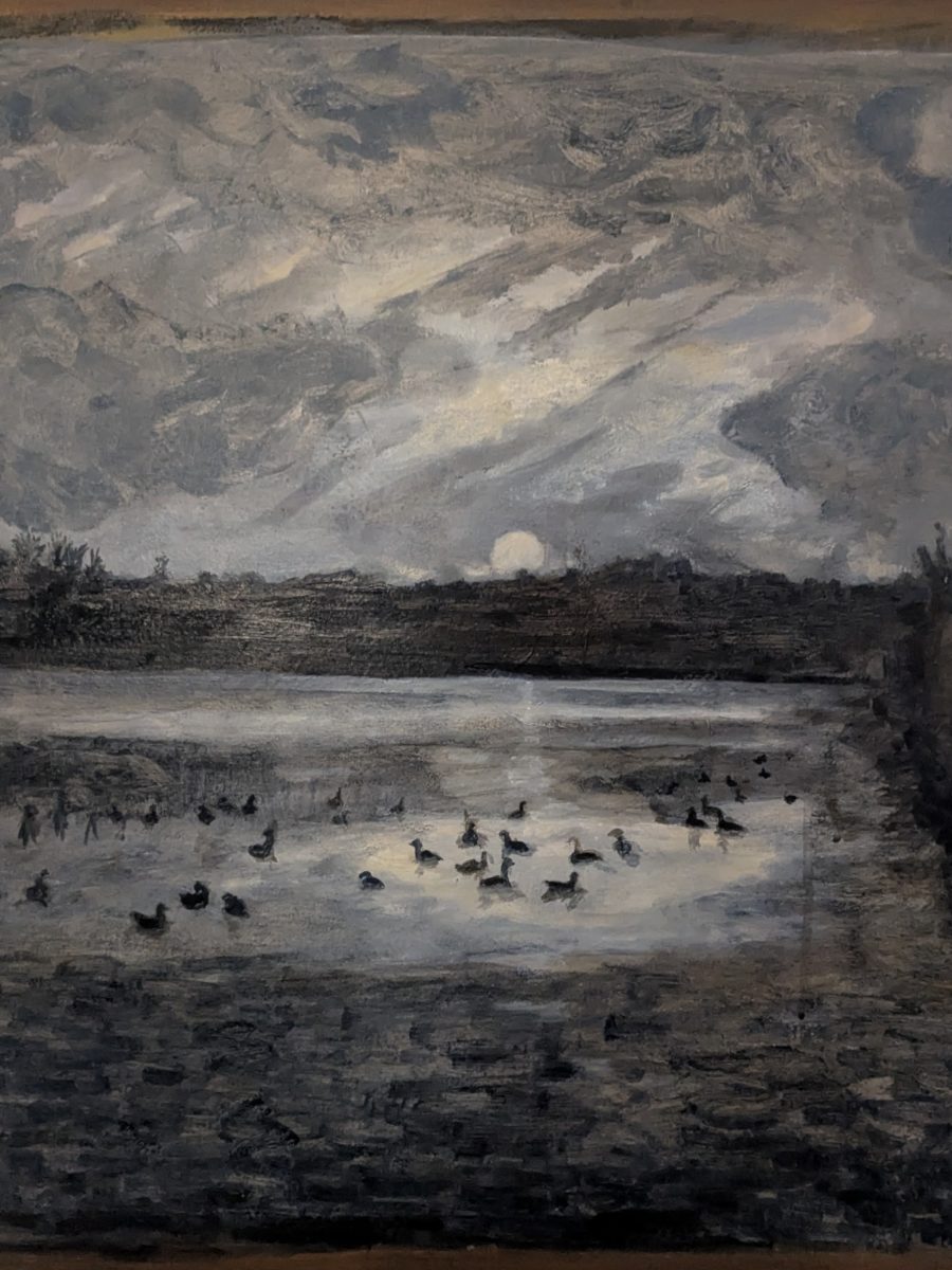 Ducks resting on the lake at night (St Albans)