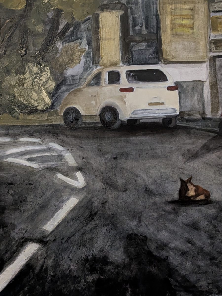 A Fox on Fog Lane at night (Manchester)
